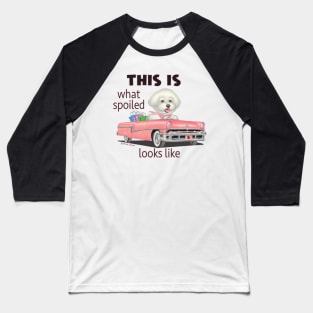 Cute and ready to shop Bichon Frise in classic  Pink Car Baseball T-Shirt